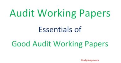 Audit Working Papers