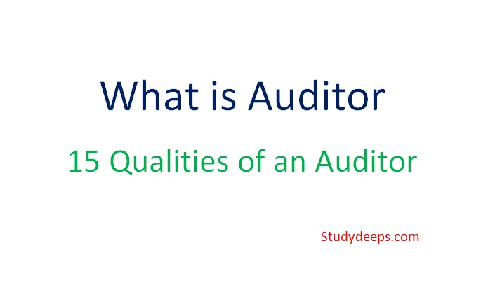 qualities of an auditor